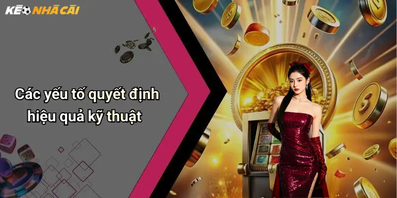 Các yếu tố quyết định hiệu quả kỹ thuật