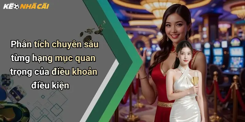 Phân tích chuyên sâu từng hạng mục quan trọng của điều khoản điều kiện