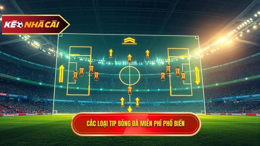 Các loại Tip bóng đá miễn phí phổ biến hiện nay