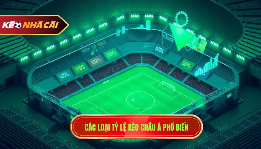 2. Các loại tỷ lệ kèo châu Á phổ biến